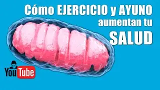 Cómo Ejercicio y Ayuno aumentan tu salud