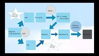 Surgery for advanced ovarian cancer, Basel Refky