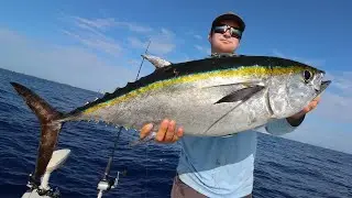 GIANT Tuna On LIVE BAIT... Insane Day Offshore