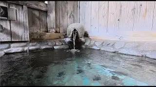 Private outside bath - Onsen