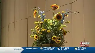 Sunflower Music Festival offers unique musical experience at no cost