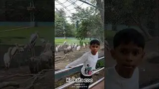 kolkata zoo #kolkata #zoo #tour #2025 #viral #video #shorts @RockStyleDressesGkt