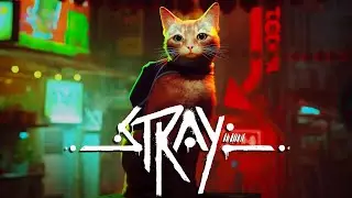 [PS5][ITA] Stray - 03 - L&rsquo;appartamento (100% collezionabili)