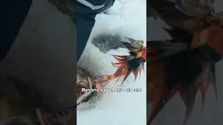 Щука с Rowdy Head&rsquo;ом 😱Полное видео - youtu.be/pGzLq37wByE
