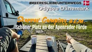 Sch&ouml;ner Stellplatz an der Apenrader F&ouml;rde,  Platzcheck Marskcamp & Skarrev Campingplatz #denmark