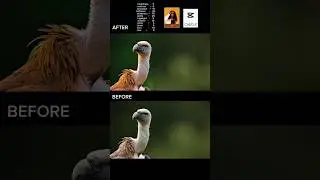 CapCut Colour Grading for Beginners