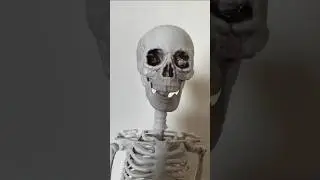 Bob the skeleton gets shot #funny #fyp #spooky #random #sigma #bob