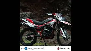 El junior G 