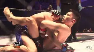 CageZilla 51 02 Люк Стейли против Мохаммеда Али