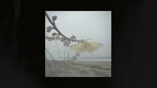 [free] post-hardcore ✯ early 2000's ✯ alternative rock type instrumental