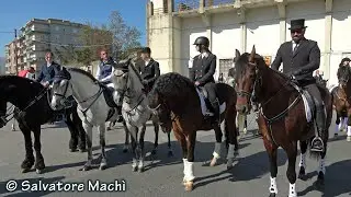 Caltagirone (CT) - Sfilata e spettacolo equestre 2023