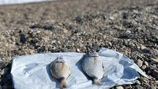 Yeniden Assos Kadırga Koyundayız.