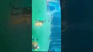 How to duplicate shields in the legend of zelda breath of the wild
