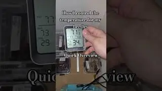 Temperature Control Box for my Beetles #BETL #stagbeetle #beetle #insects #bug #pet #petcare