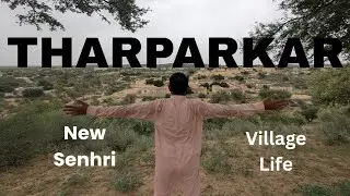 Tharparkar's Transformation: New Senhri, Nature & Culture Documentary #tariqtvstudio 