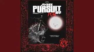 Pursuit