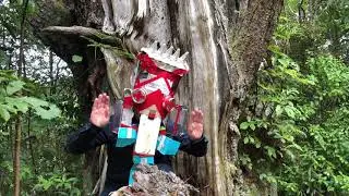 red eye tui