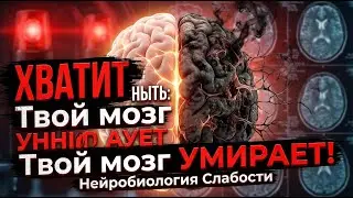 ХВАТИТ НЫТЬ. Твой мозг буквально УМИРАЕТ (Нейробиология Слабости)