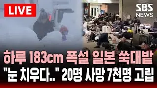 🔴LIVE 하루 183cm 퍼부은 눈에 일본 쑥대밭..