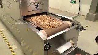 Pistachio, cashew nut, walnut flavoring and drying machine