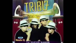 TRIBU 7 VOL 2 MOSAICO 1