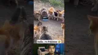 India vs Pakistan 🤣 #new #shortvideos #funny #reaction #realfools #comdeymemes