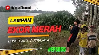 #Epsd55 : Ikan Lampam Ekor Merah Wetland | Port Training Terbaik Untuk Anak2 | Santai Dan Selesa