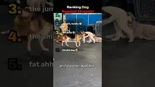 don't check my other video 😭