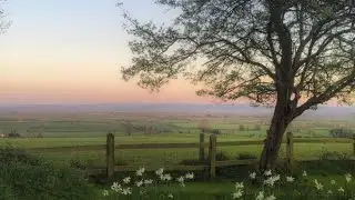 a playlist for quiet people 🌿