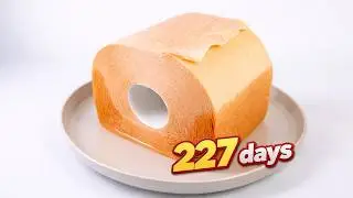 200 Days of a Spider Living on a Wet Toilet Paper