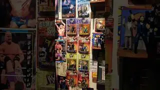 I Found NEW Bone Crunchers #JakksPacific #WrestlingFigures #Hunt #Collect #Display #Enjoy #Shorts