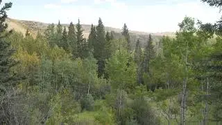 Big Hill Springs Provincial Park
