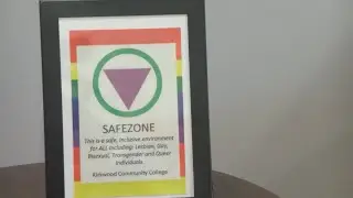 &lsquo;We need to be visible&rsquo; - Pride Month begins