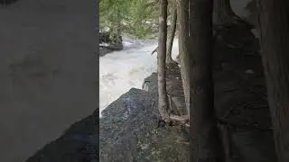 She's rippin' today! #river #falls #power #nature #explore #woods #michigan #subscribe #yooper #love