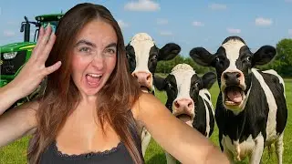 Day in the Life of a British Farm Girl | New Cattle & Tractor Work