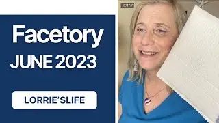 shopping blind:  Facetory ￼, June 2023 monthly ￼ ￼￼ subscription sheet mapsk