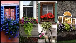 Amazing Best Plants For Gorgeous Window Box Display |Superb Box Flowers Ideas For Spring Window