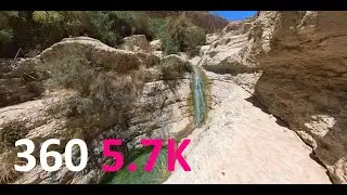 עין גדי - מפל דוד ומערת דודים בצילום 360 - En Gedi Reserve, David Waterfall & Dudim Cave in 360 5.7K
