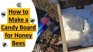 How to Make a Candy Board for Honey Bees