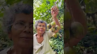 Healthy￼ Ambarella Masala 🥝🤤| WildFlamePot #shorts #india #youtubeshorts #pickle #cooking