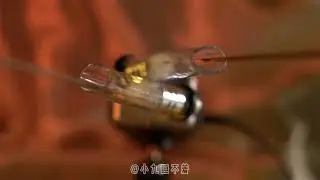 无人声鹅毛棒深度掏耳，带耳机听哦#asmr #助眠 #无人声沉浸式 #掏耳 @抖音小助手 @DOU+小助手