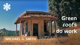 Natural building myths: tiny homes and green roofs