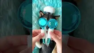 Treat your dog an ultimate full-body massage package! 💪😊 #dog #petcare #petlife #satisfying