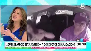 ¿Qué arriesga? Mujer chilena que golpeó e insultó a conductor de aplicación | Tu Día | Canal 13