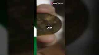 Get Free Bitcoin shares  
