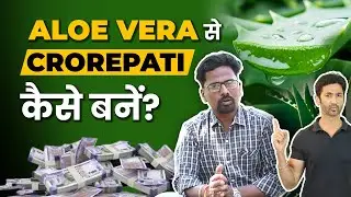 Aloe Vera Farming | प्रति एकड़ उन्नत खेती का पूरा प्लान जानें | Step-by-Step Guide in Hindi