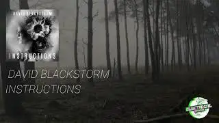David Blackstorm - Instructions (Original Mix)