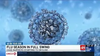 Flu season in full swing, data shows cases declining