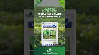 A super-systemic insecticide of the neonicotinoid class for control of insect pests such as sucking