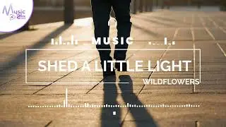 Shed a Little Light - Wildflowers FEAT. SARAH PUMPHREY [Lyrics, HD] Acoustic Music, Sentimental, Sad